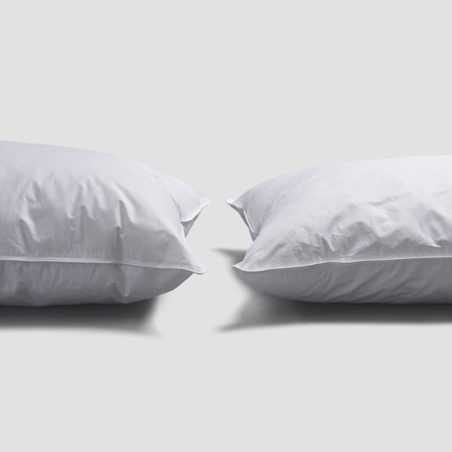 Pappini Eco Pillow - Image 2